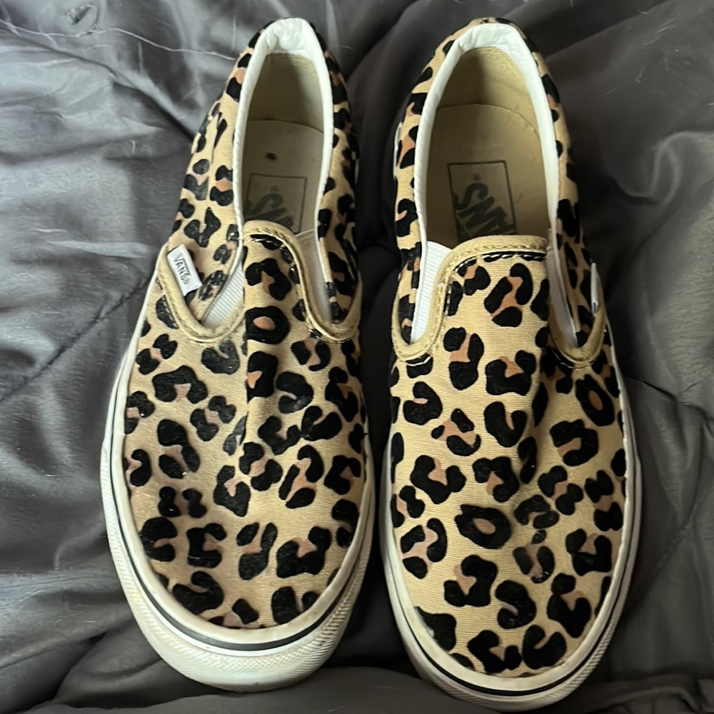 Cheetah vans
